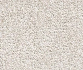 Cardinal 10579 Cardinal 10579