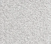 Cardinal 10557 Cardinal 10557