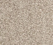 Cardinal 10559 Cardinal 10559