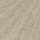 5529 Дуб Орегон 5529 Дуб Орегон