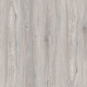 IMU 8471  Дуб Северное сияние  IMU 8471  Дуб Северное сияние